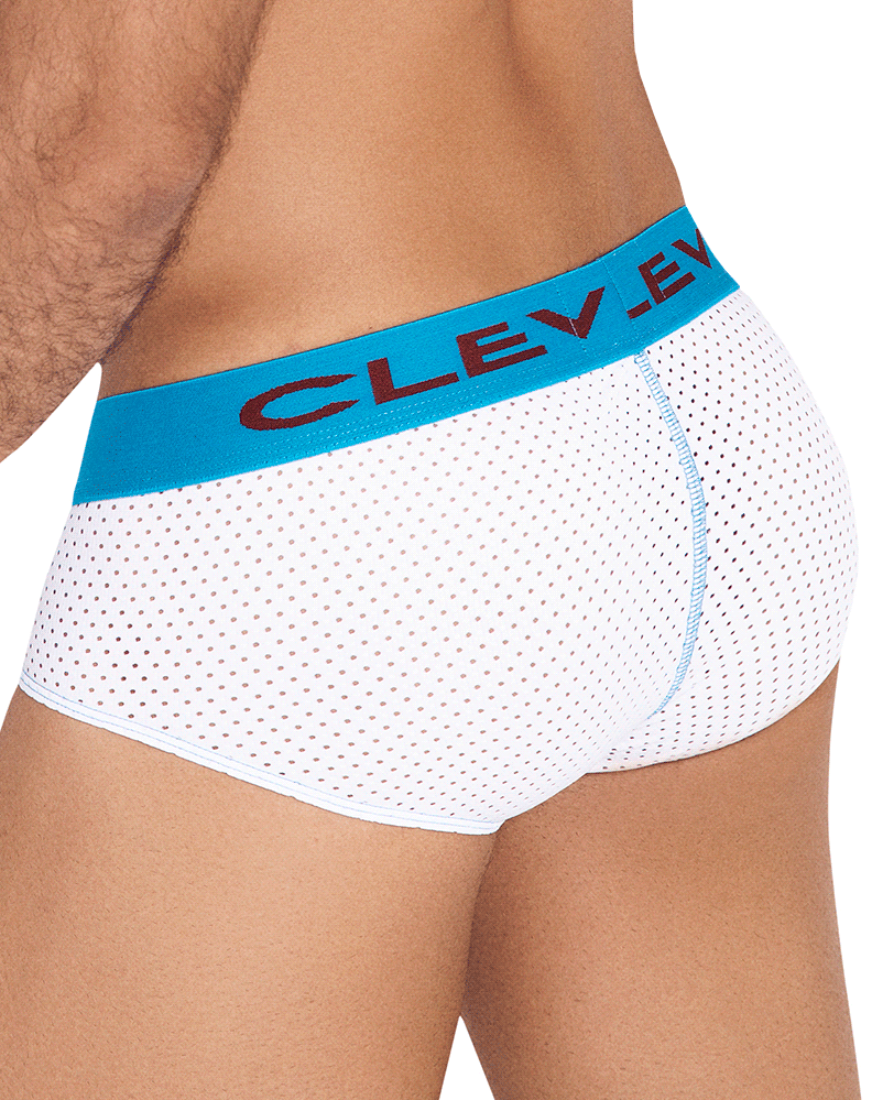 Clever 0421 Requirement Briefs White