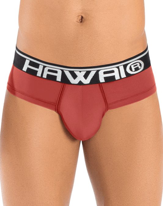 Hawai 41945 Briefs Terracotta